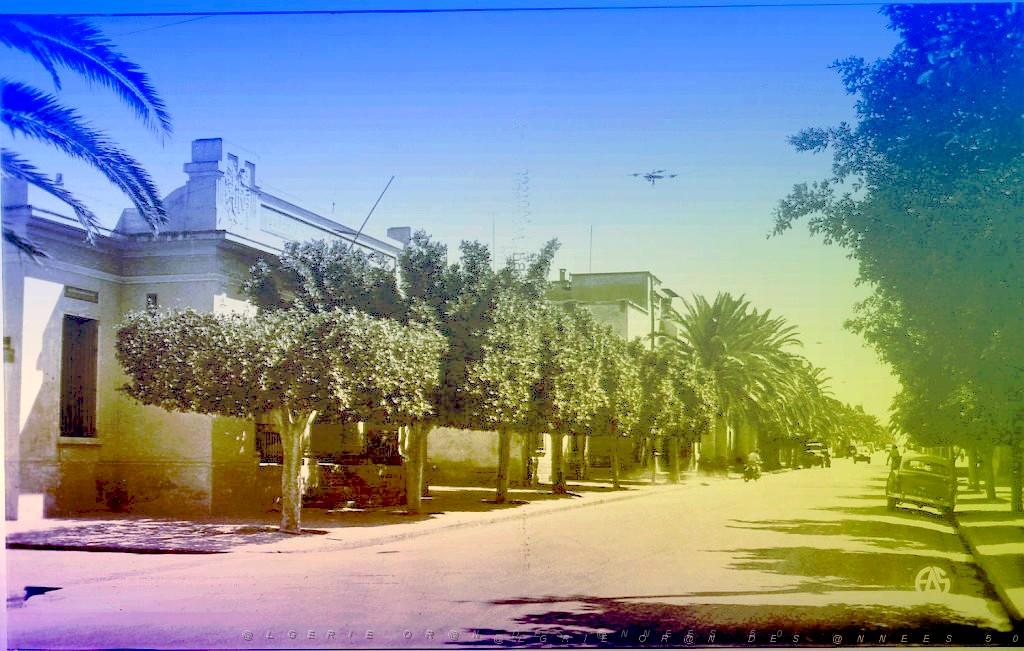 RIO SALADO 502  BD NATIONAL ET POSTE.jpg